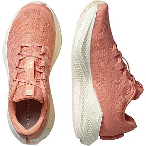 Salomon Aero Glide 3 W fusion coral / vanilla ice / tender peach dámské běžecké silniční boty novinka