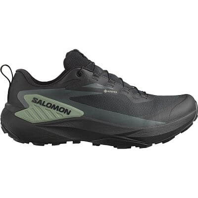 Salomon Genesis GTX M black / agave green / urban chic